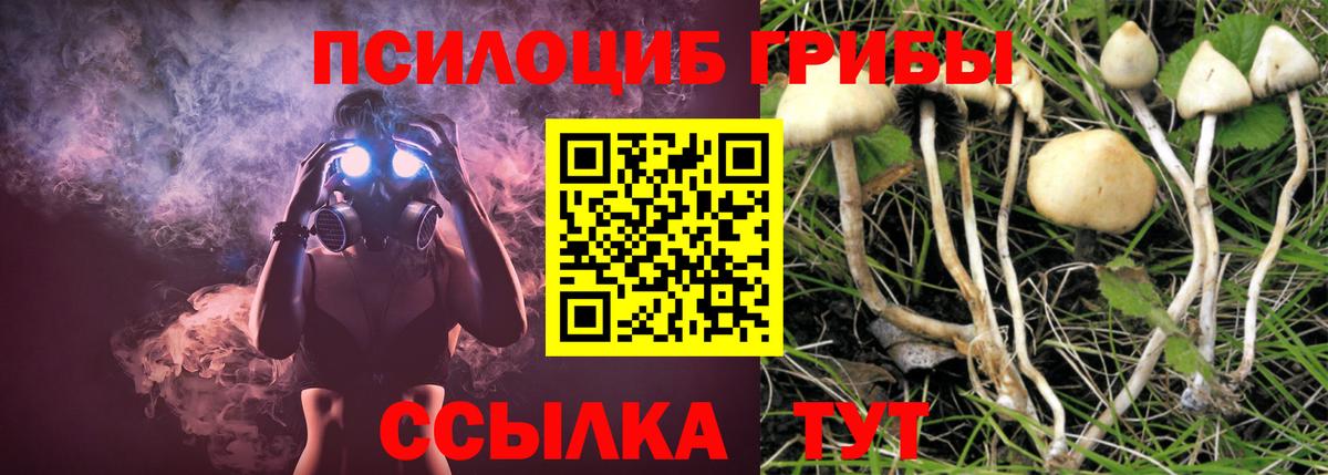 Псилоцибиновые грибы Psilocybine cubensis  Вход с VPN  Шахты 
